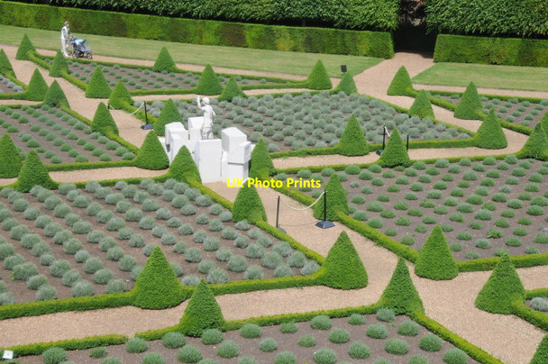Photo 6"x4" Cherry Garden, Ham House Richmond\/TQ1874 c2012