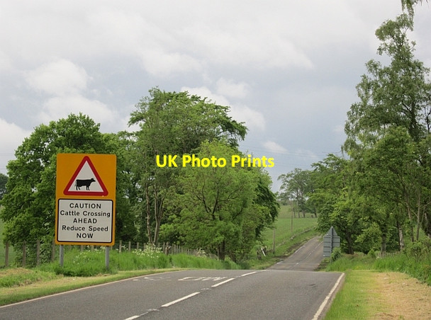 Photo 6"x4" Lang Whang Little Vantage c2012