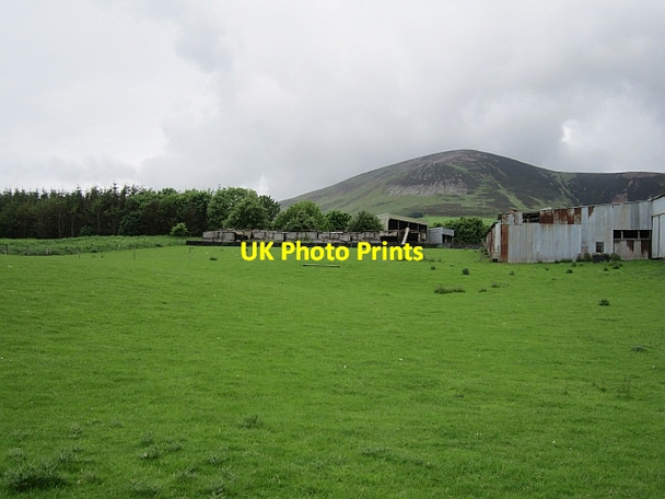 Photo 6"x4" Field, Chesterhall Wiston\/NS9532 c2012