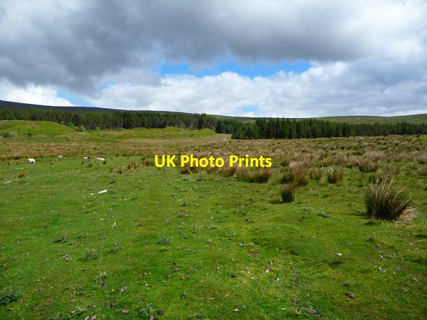 Photo 6"x4" Approaching Achnasheen Plantation Achnasheen\/Achadh na Sine c2012