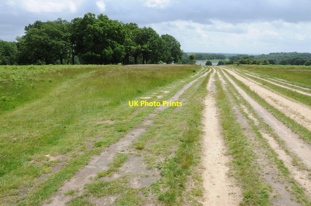 Photo 6"x4" Path leading to Pen Ponds Richmond\/TQ1874 c2012