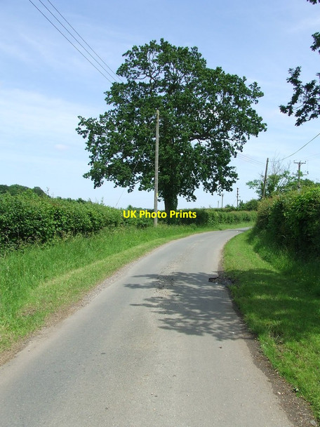 Photo 6"x4" Minor Road Daw's Cross c2012