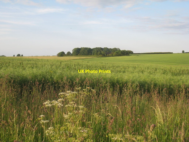 Photo 6"x4" View towards Calcethorpe House Burgh on Bain c2012