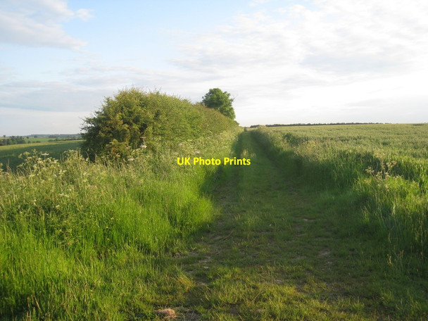 Photo 6"x4" The Viking Way Burgh on Bain c2012