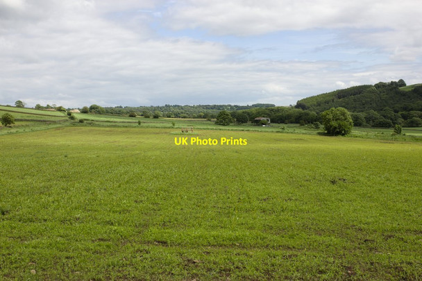 Photo 6"x4" Field of Young Maize, Birchfield Farm Hartwith c2012