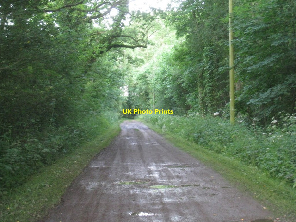 Photo 6"x4" Mill Lane, Burgh on Bain Burgh on Bain c2012