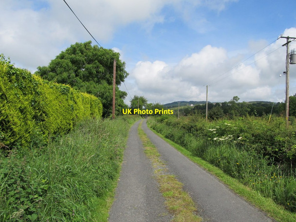 Photo 6"x4" Minor road in the townland of Raskeagh Faughart Upper c2012