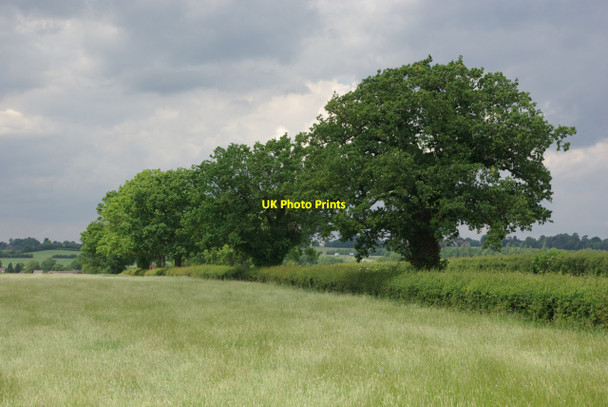 Photo 6"x4" Farmland by the A45 Lower Green\/SP5068 c2012