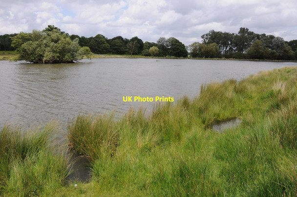 Photo 6"x4" Pen Ponds, Richmond Park Richmond\/TQ1874 c2012