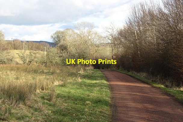 Photo 6"x4" Road to Craignethan Castle Crossford\/NS8246 c2012