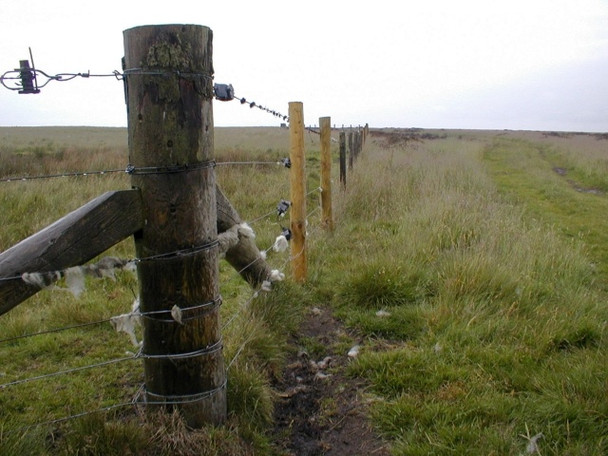 Photo 6"x4" Fence Post, Little Moor Kepwick c2008