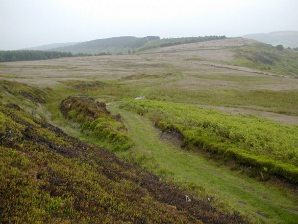 Photo 6"x4" Bridleway, Little Moor Kepwick c2008
