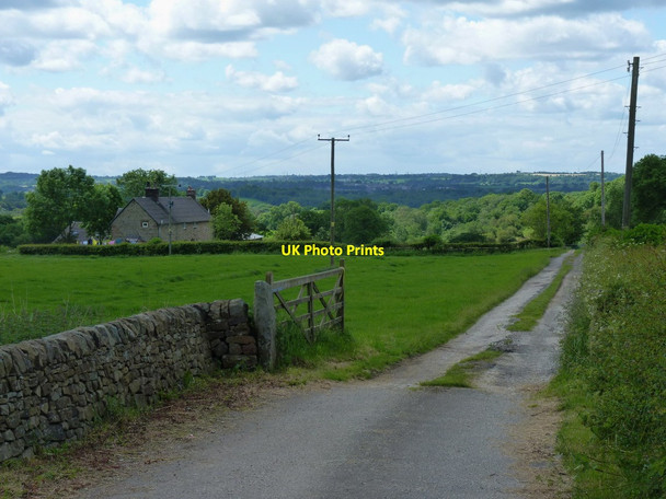 Photo 6"x4" Wildgoose Farm, near Leek Leek\/SJ9856 c2012