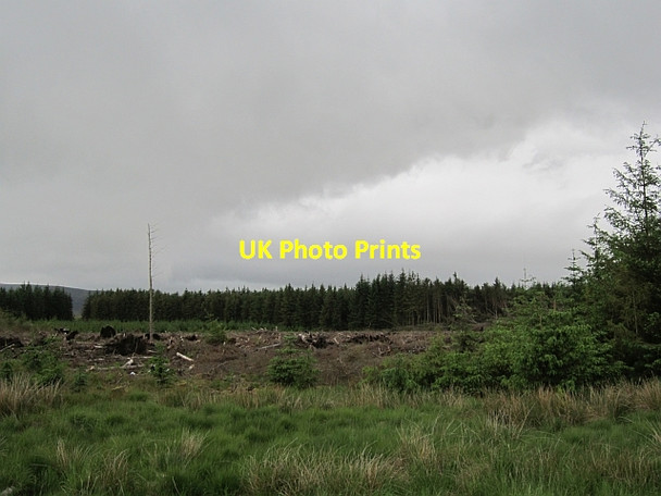 Photo 6"x4" Clear felled area, Camilty Harburn\/NT0461 c2012