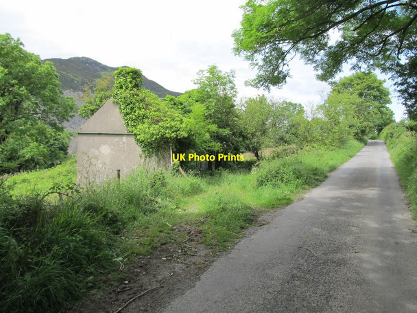 Photo 6"x4" Ruined cottage on the Bog Road Forkhill c2012