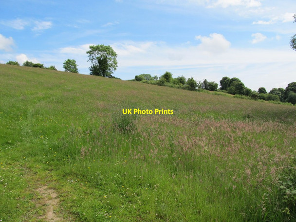 Photo 6"x4" Hay field on the ridge separating the Bog Road from the village of Forkhill Forkhill c2012