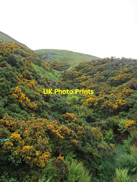 Photo 6"x4" Gully, Glen Eagles Glen Eagles c2012