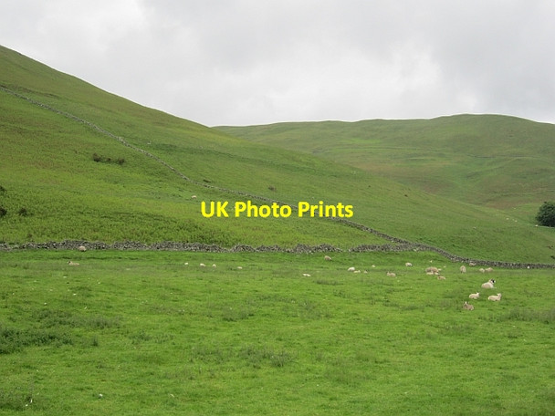 Photo 6"x4" Dykes in Glen Devon Glendevon\/NN9904 c2012