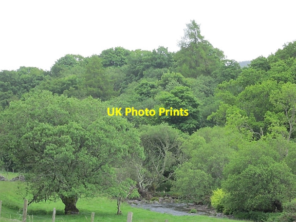 Photo 6"x4" River Devon Glendevon\/NN9904 c2012