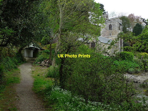 Photo 6"x4" St Just in Roseland St Just in Roseland c2012