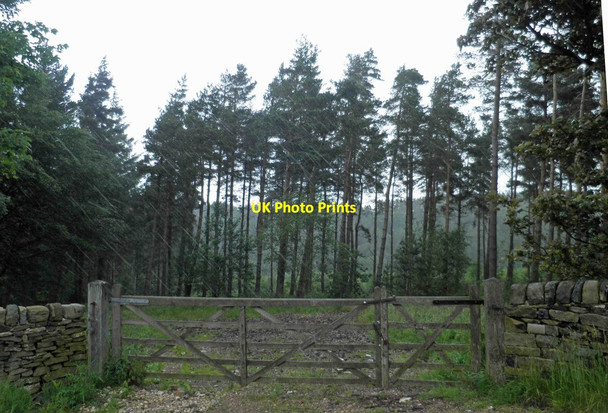 Photo 6"x4" Gate into Spring Moor Wood from Gill Royd Lane Midhopestones c2012