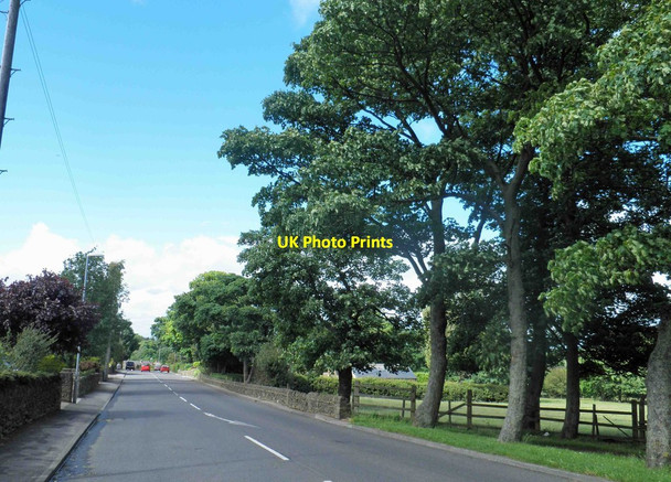 Photo 6"x4" Mortimer Road Cubley Penistone c2012
