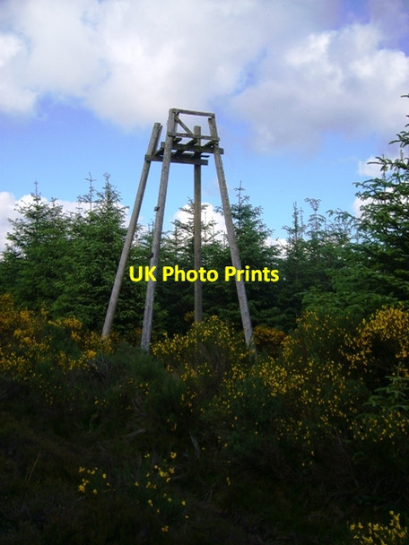 Photo 6"x4" Fire tower in Kinrive Plantation Dykehead\/NO3860 c2012