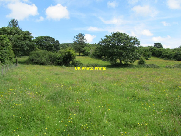 Photo 6"x4" View uphill in the direction of the Carrickasticken Road Forkhill c2012