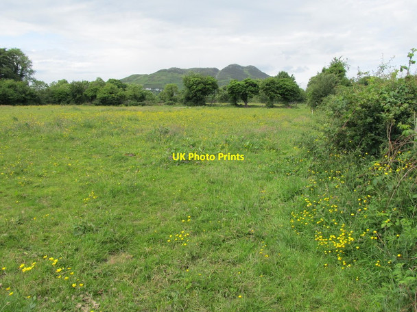 Photo 6"x4" View north along the flood plain of the Forkhill River Forkhill c2012