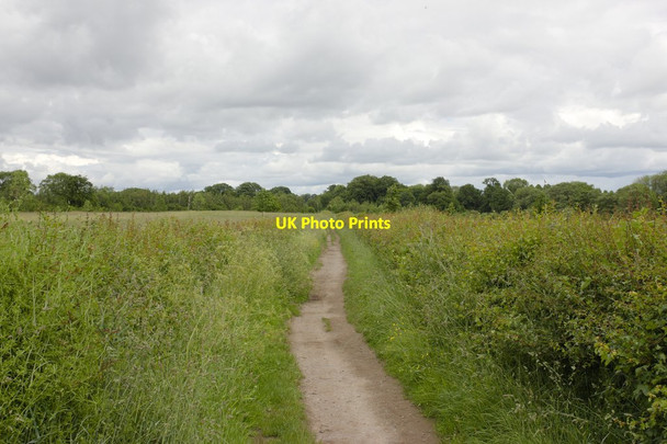 Photo 6"x4" Footpath to Ripon Ripon c2012