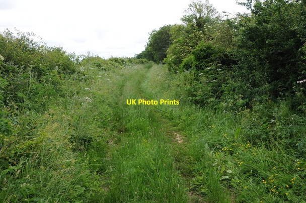 Photo 6"x4" Restricted byway near Helen's Ditch Northleach c2012