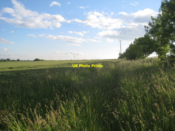 Photo 6"x4" Field boundary off Ellmore Lane North End\/TF0499 c2012