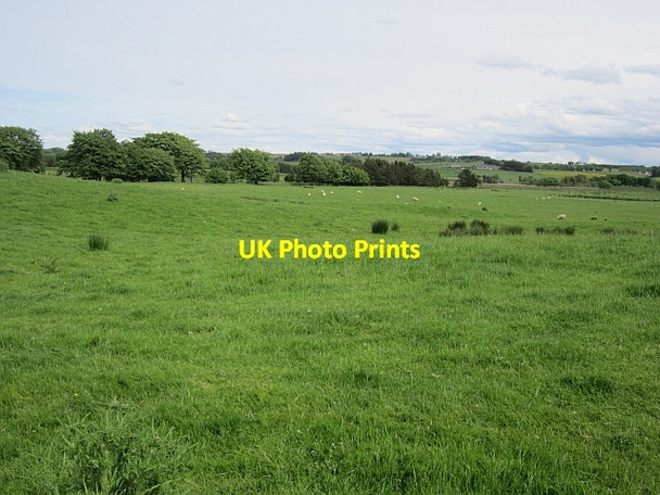 Photo 6"x4" Grassland beside the Through Burn Forth\/NS9453 c2012