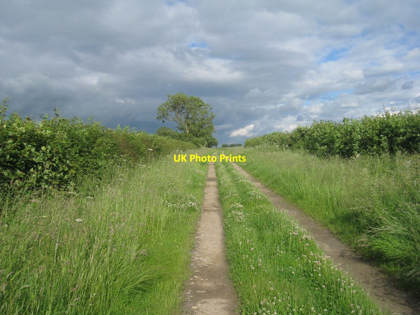 Photo 6"x4" North End Lane, South Kelsey (2) North End\/TF0499 c2012