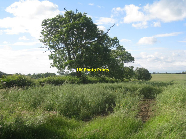 Photo 6"x4" Field off North End Lane, South Kelsey North End\/TF0499 c2012