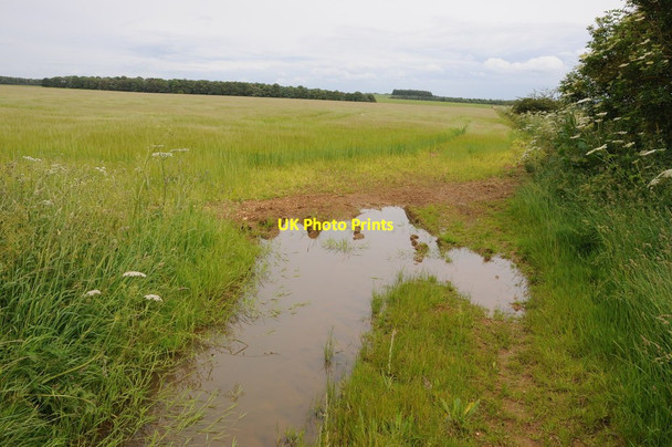 Photo 6"x4" Wet field entrance Aldsworth\/SP1510 c2012