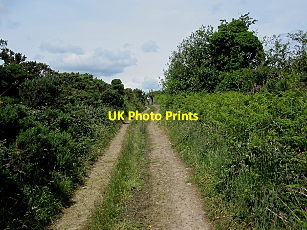 Photo 6"x4" Country Lane Tullagher c2012