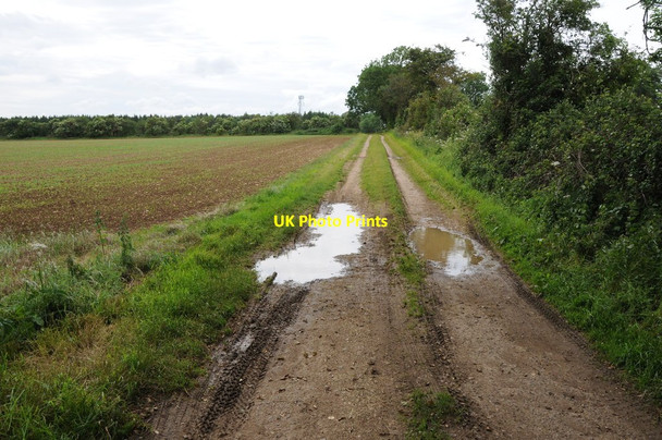Photo 6"x4" Farmland track Sherborne\/SP1714 c2012