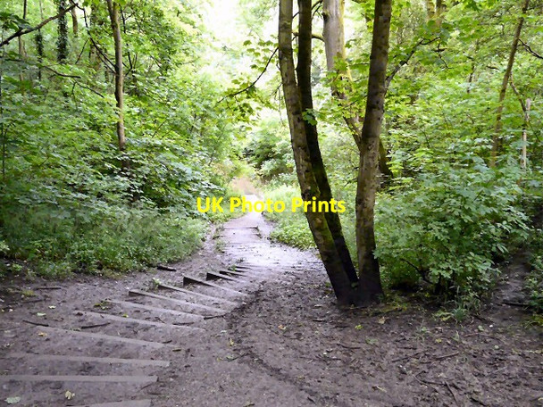 Photo 6"x4" Access to Gower Hey Wood Hyde\/SJ9494 c2012