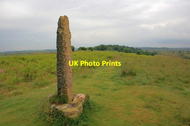 Photo 6"x4" Fox Lane Cross Moorhall\/SK3074 c2012
