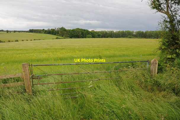 Photo 6"x4" Farmland near Eastington Northleach c2012