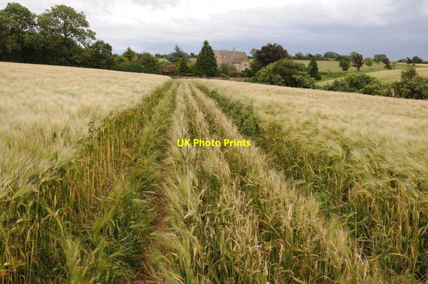 Photo 6"x4" Footpath approaching Hill Barn Clapton-on-the-Hill c2012