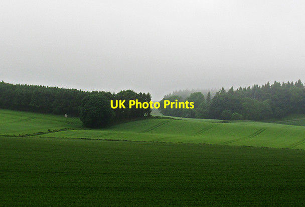 Photo 6"x4" View towards Cadgeracre Wood Gateside\/NO1809 c2012