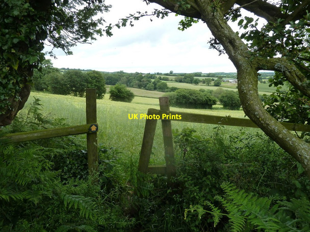 Photo 6"x4" Footpath north of Handley Clay Cross c2012