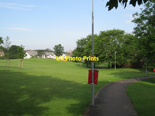 Photo 6"x4" Path, Langton Livingston c2012