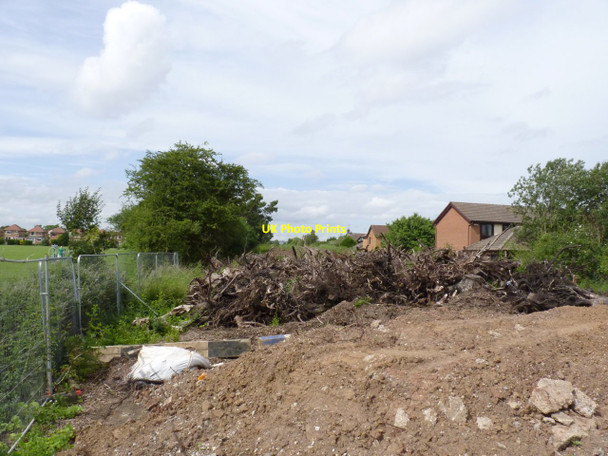 Photo 6"x4" Embankment at Ruddington Lane Park  West Bridgford c2012