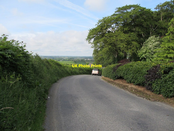 Photo 6"x4" The descent down to the Shrine of St Brigid Faughart Upper c2012