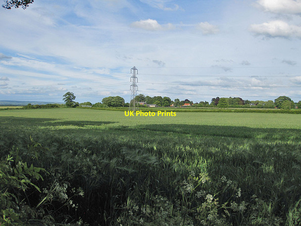 Photo 6"x4" Power lines crossing a wheat field Malton\/SE7871 c2012