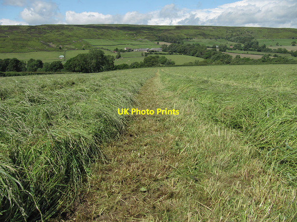 Photo 6"x4" Grass cut for silage Westerdale\/NZ6605 c2012
