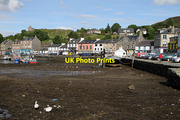 Photo 6"x4" Low tide at Tarbert Harbour Tarbert\/NR8668 c2012